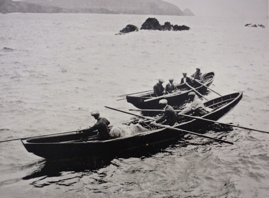 currach1.jpg